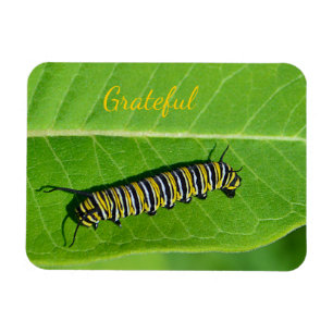 Naturfreundlichkeit Magnet