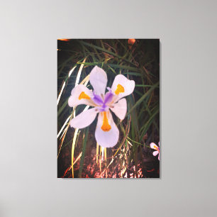 Naturgeschenke, gearbeitete Leinwand