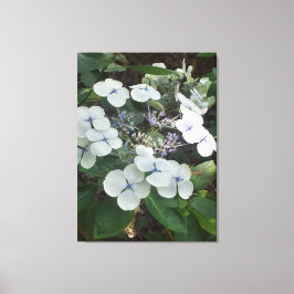 Naturgeschenke, gearbeitete Leinwand