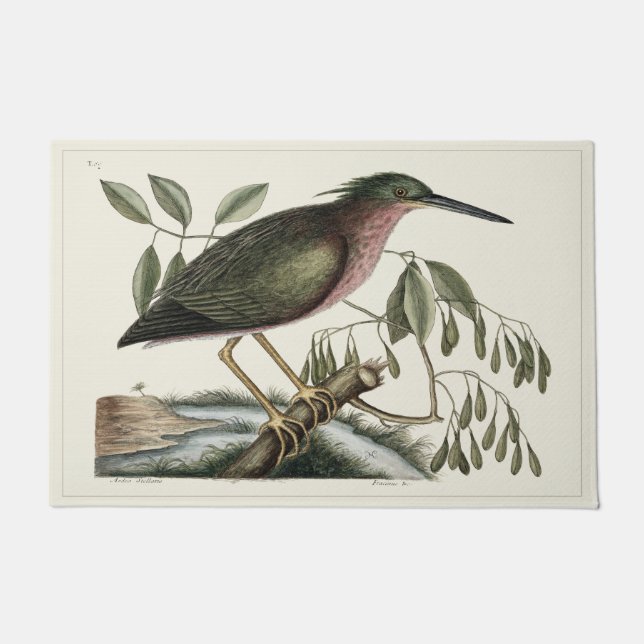 Naturgeschichte 24" x 6" Tür-Matten-Fußmatte Fußmatte (Vorderseite)