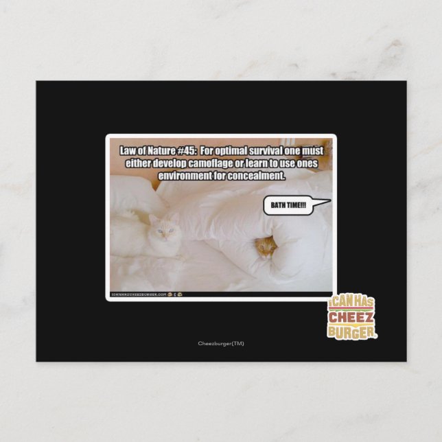 Naturgesetz #45 postkarte (Vorderseite)