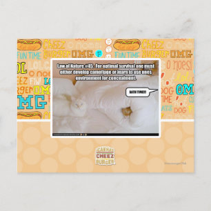 Naturgesetz #45 postkarte