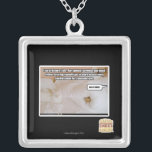 Naturgesetz #45 versilberte kette<br><div class="desc">Ich kann habe cheezburger Gewohnheit merch!</div>