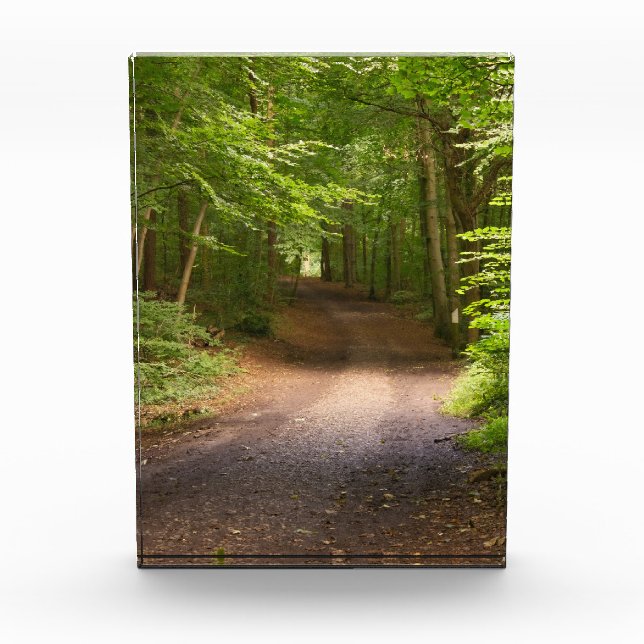Naturglanz Fotoblock (Vorderseite)