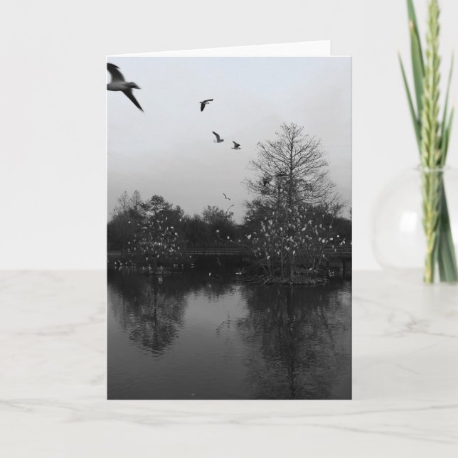 Naturgrüßkarte Karte (Vorderseite)