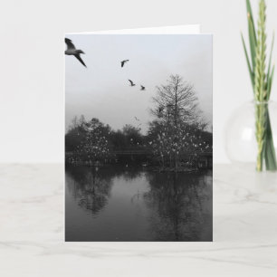 Naturgrüßkarte Karte