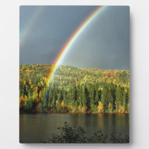 Naturhimmel-Wasserbäume des irischen Glücks des Fotoplatte