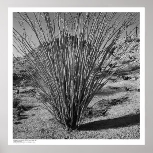 Naturhistorische Reservierung für Hastings Poster