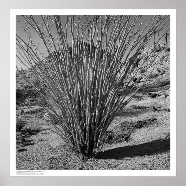 Naturhistorische Reservierung für Hastings Poster (Vorne)