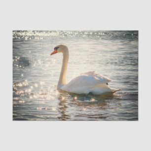 Naturinspirationen Eleganter Schwan Seidenpapier