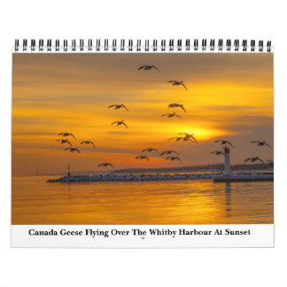 Naturkalender 2023 kalender