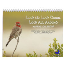 Naturkalender: Schauen Sie nach oben, schauen Sie 