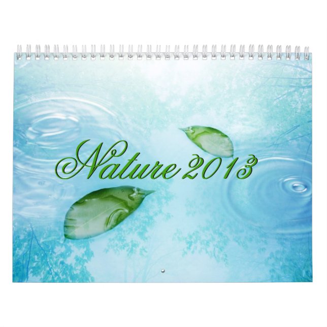 Naturkalender - Wasser, Himmel und Blätter 2013 Kalender (Titelbild)