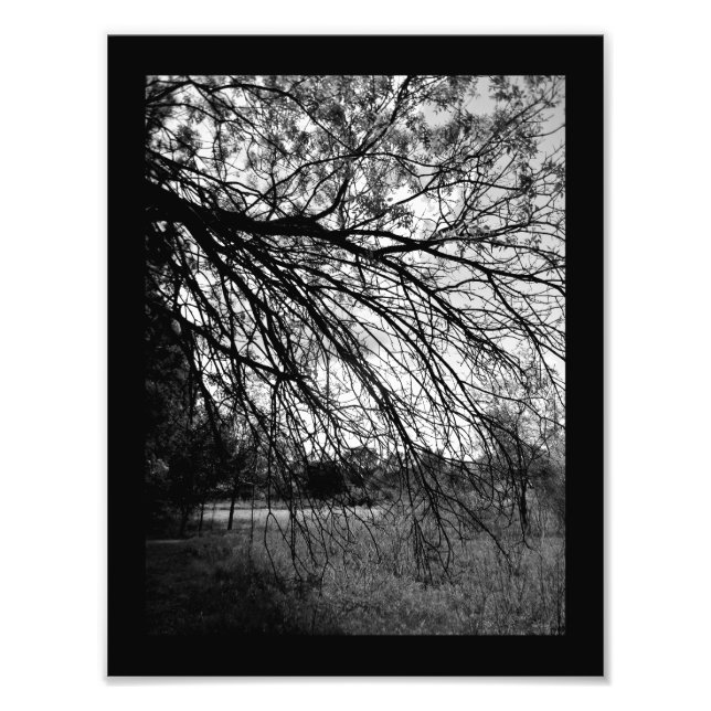 Naturkunde Fotodruck (Vorne)