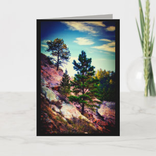 Naturkunde Pinien Foto Kunstleder Karte