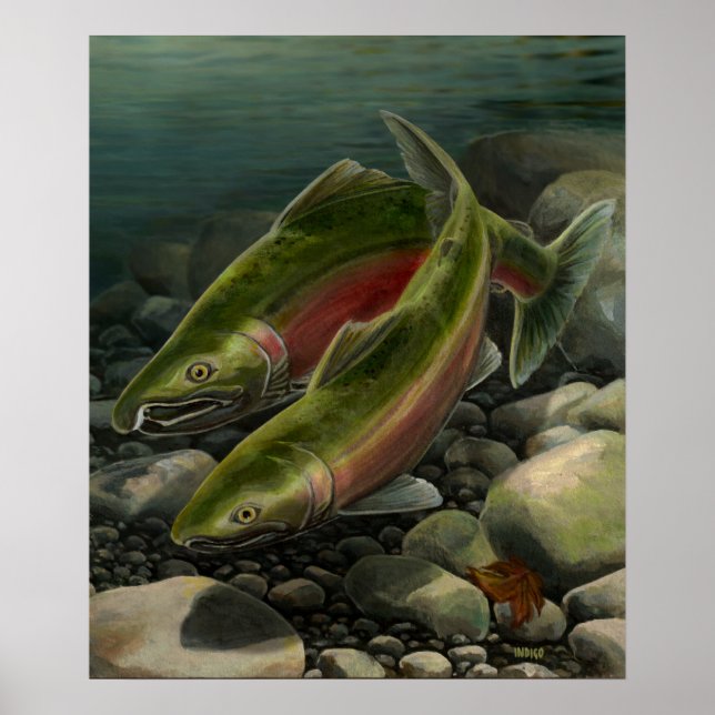 Naturkunde Poster Coho Lachs Angeln Kunst, Dichtun (Vorne)