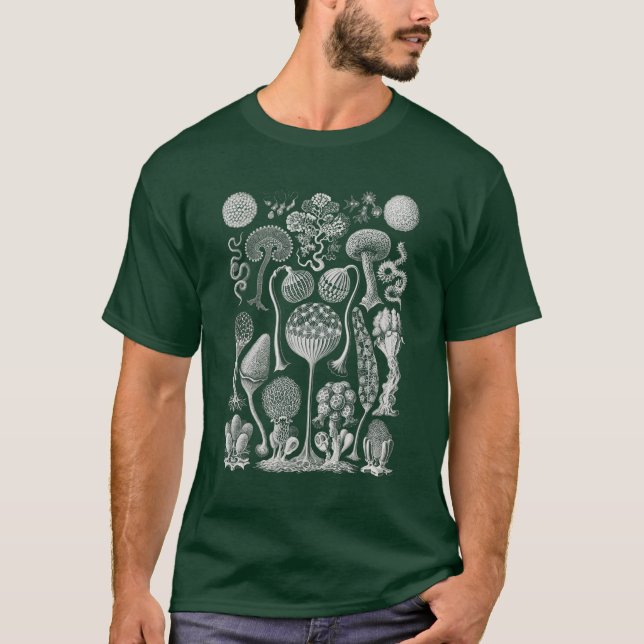 Naturkundeformen, Haeckel-T - Shirt (Vorderseite)
