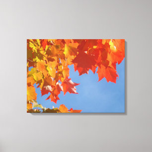 Naturkunst Canvasa druckt Herbstleaves Blau Leinwanddruck