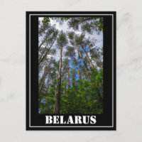 Naturlandschaft aufsuchen Wald Weißrussland Postka