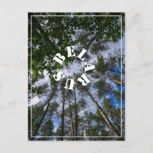 Naturlandschaft aufsuchen Wald Weißrussland Postka Postkarte