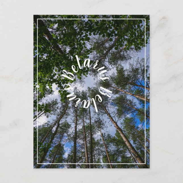 Naturlandschaft aufsuchen Wald Weißrussland Postka Postkarte (Vorderseite)