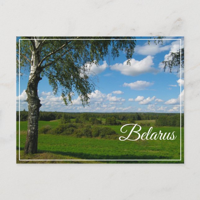 Naturlandschaft Birch Belarus Postkarte (Vorderseite)