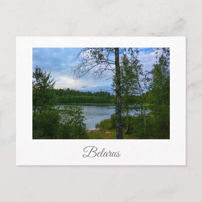 Naturlandschaft Birch Belarus Postkarte (Vorderseite)