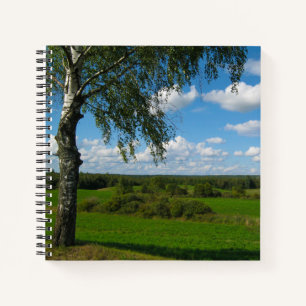 Naturlandschaft Birkenbäume Belarus Notizbuch