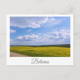 Naturlandschaft Canola Field Ländliche Belarus Gro Postkarte