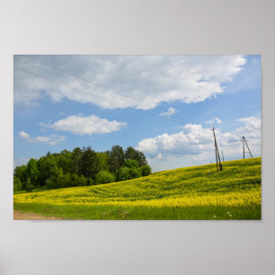 Naturlandschaft Canola Field Ländliche Belarus Poster