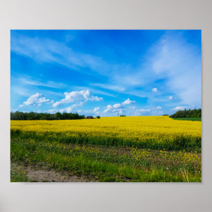 Naturlandschaft Canola Field Ländliche Belarus Poster