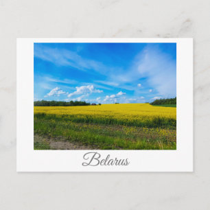 Naturlandschaft Canola Field Ländliche Belarus Postkarte