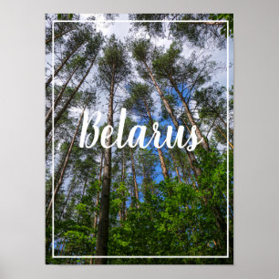 Naturlandschaft erforschen Forest Belarus Poster
