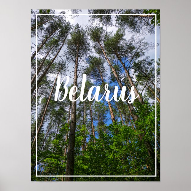 Naturlandschaft erforschen Forest Belarus Poster (Vorne)