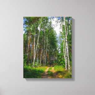 Naturlandschaft Forest Birch Weißrussland Leinwanddruck