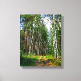 Naturlandschaft Forest Birch Weißrussland Leinwanddruck