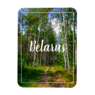 Naturlandschaft Forest Birch Weißrussland Magnet