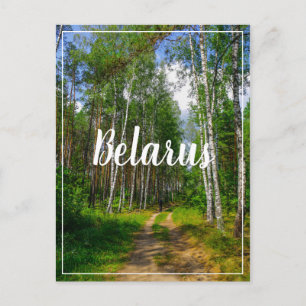 Naturlandschaft Forest Birch Weißrussland Postkarte