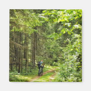 Naturlandschaft Landschaft Wälder Bäume Weißrussla Magnet