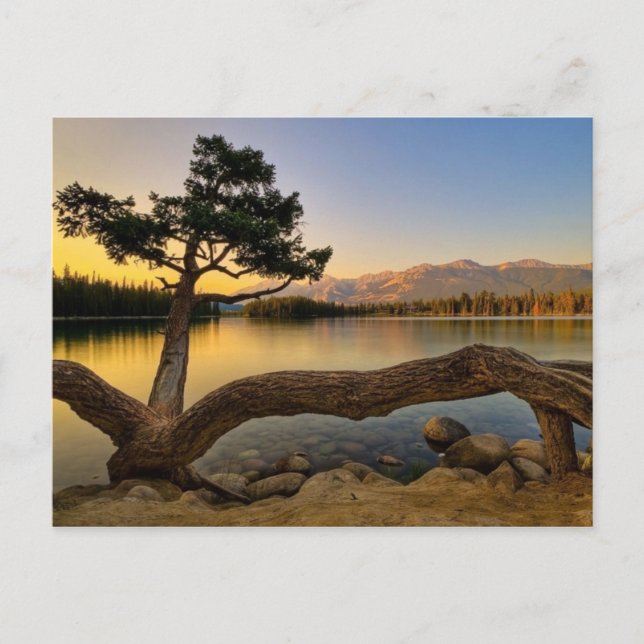 Naturlandschaft Postkarte (Vorderseite)