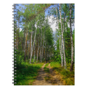 Naturlandschaft Wald Birch Tree Weißrussland Notizblock