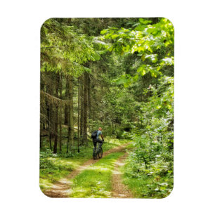 Naturlandschaft Wald Birch Weißrussland Magnet