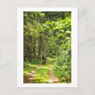 Naturlandschaft Wald Radfahren Weißrussland Postkarte