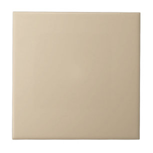 Natürlich neutrales Licht Beige Solid Color SW 61 Fliese