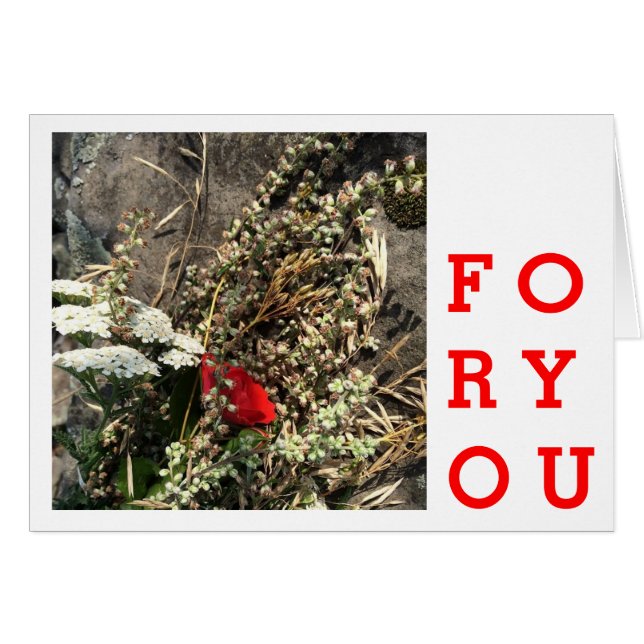 Natürliche Blume (Vorderseite (Horizontal))