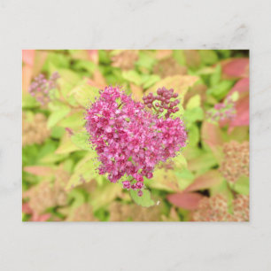 Natürliche Blume Herz - durchbohrt von Pfeil. Postkarte