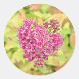 Natürliche Blume Herz - durchbohrt von Pfeil. Runder Aufkleber