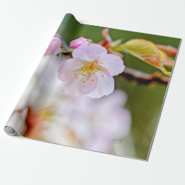 Natürliche Blumenzusammensetzung von Sakura-Blume Geschenkpapier