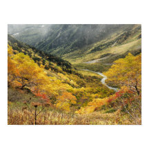 Natürliche Herbstgelbe Blätter