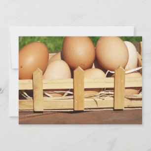 natürliche Hühnereier nach Ländern